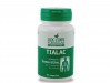 doct_formulas_tialac