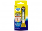scholl_systhma_fungal